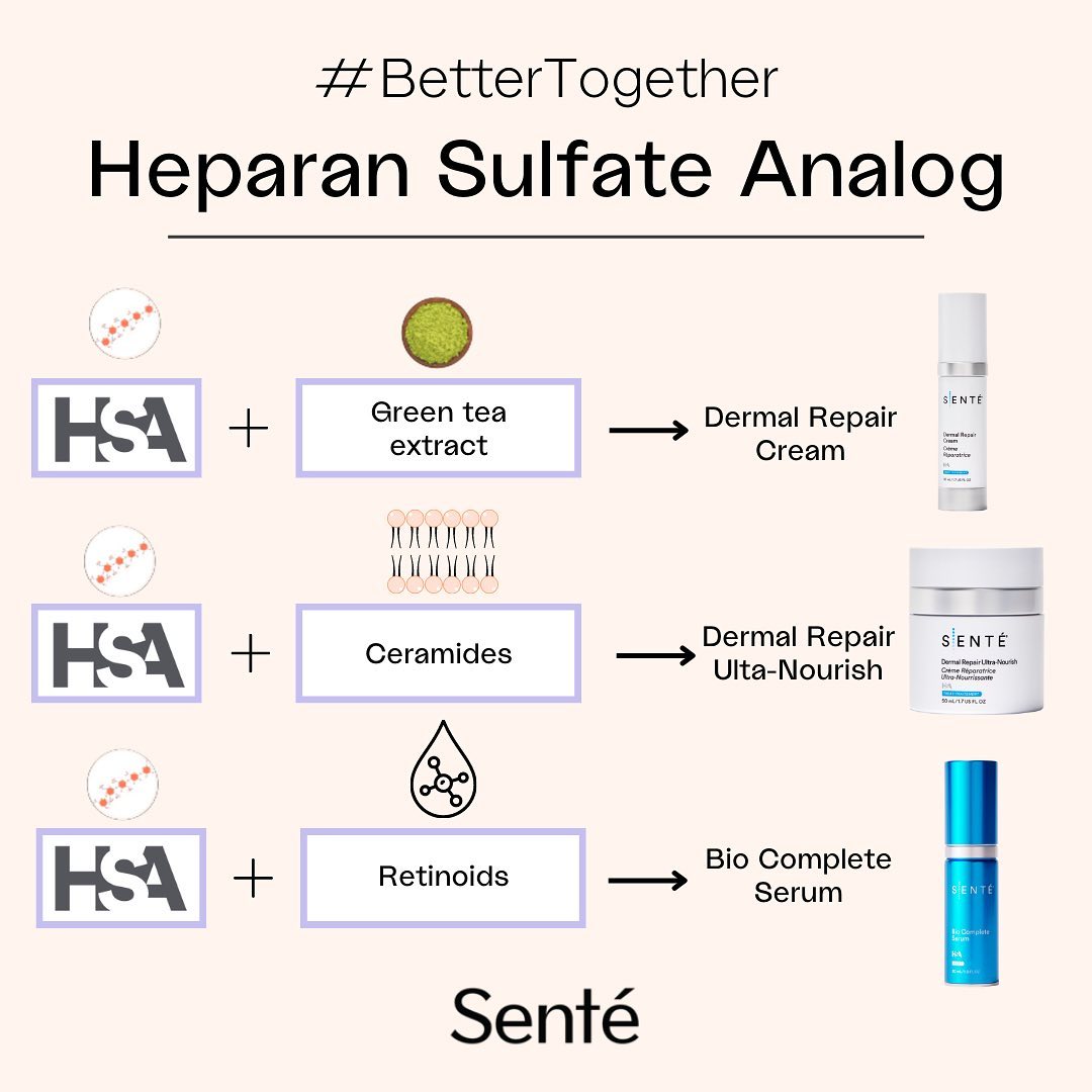 heparan sulfate analog skincare